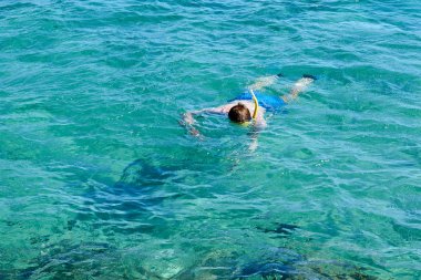 Güzel adam tropikal deniz şnorkel