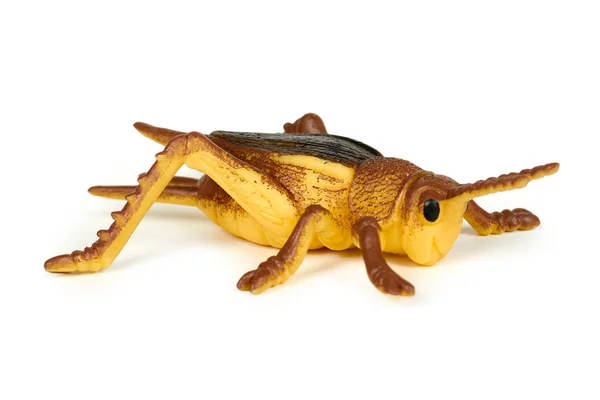 Silikon Spielzeug Heuschrecke isoliert auf weißem Hintergrund. Natur Käfer Spiel. — Stockfoto