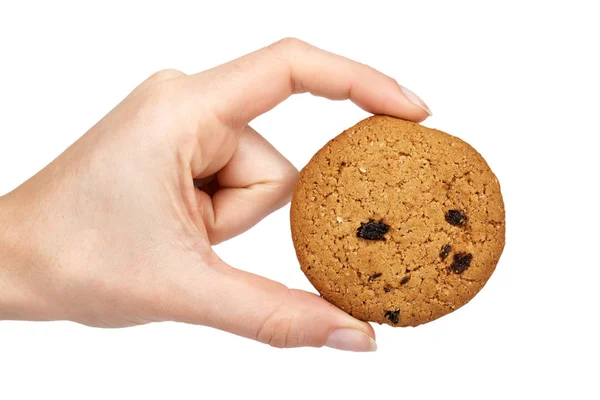 Házi oragnic csokoládé chip cookie-kat, tökmag és a mazsola a kezében. Elszigetelt fehér background — Stock Fotó