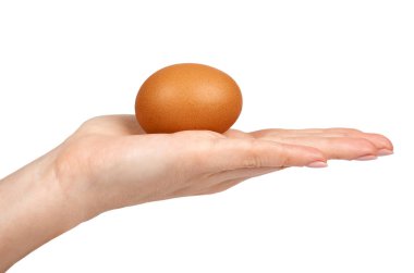 Organik tavuk yumurtası el kahverengi. Beyaz arka plan üzerinde izole. Besleyici ve protein rezerv