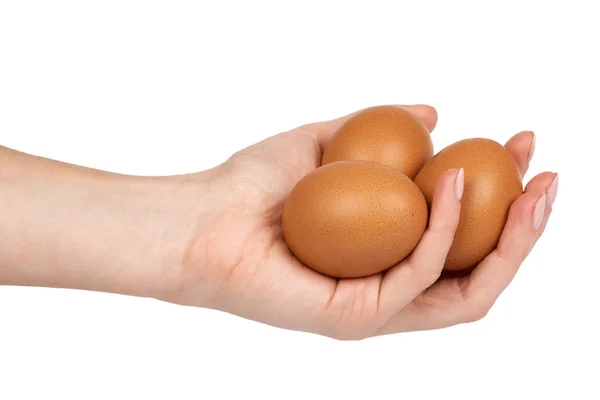 Organik tavuk yumurtası el kahverengi. Beyaz arka plan üzerinde izole. Besleyici ve protein rezerv — Stok fotoğraf