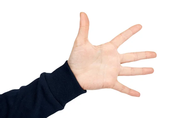 Female hand shows five gesture and sign. Isolated on white background. Dark blue pullover — Stock Photo, Image