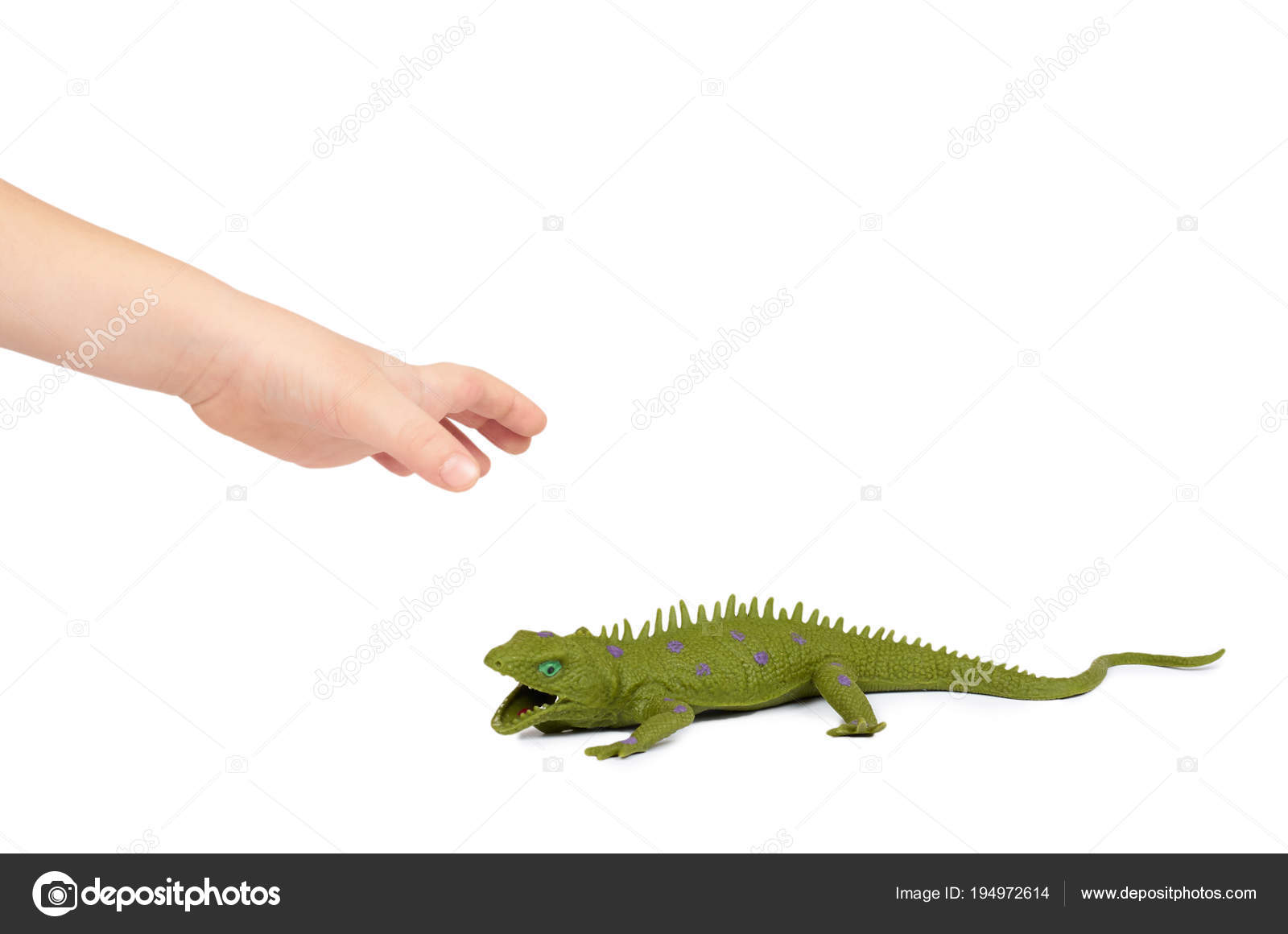 rubber lizard