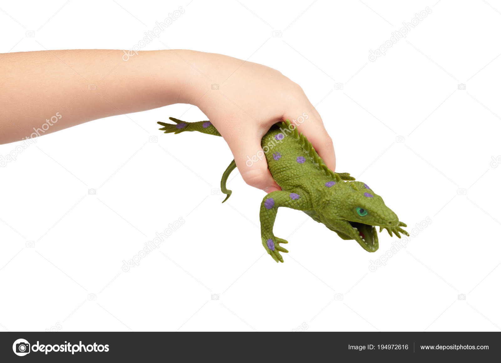rubber lizard