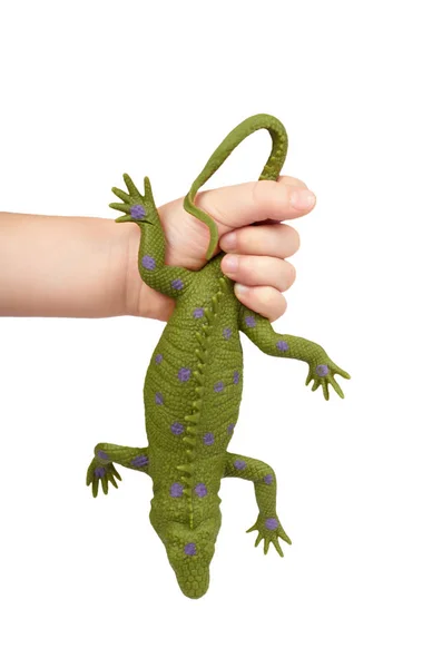 Juguete lagarto de goma verde con mano de niño, aislado sobre fondo blanco —  Fotos de Stock