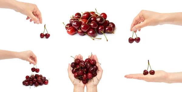 Conjunto de diferentes Hermosa mano femenina sostiene gesto de cereza. Aislado sobre fondo blanco — Foto de Stock