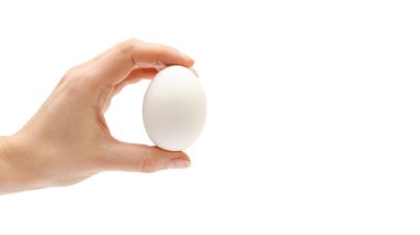 tavuk yumurta tutan kadın el. Beyaz arka plan üzerinde izole. kopyalama alanı şablonu.