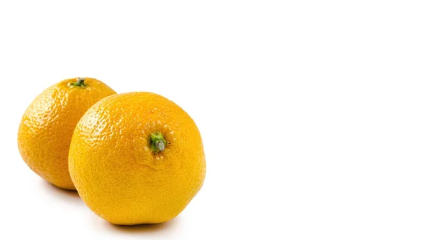 Dva oranžové mandarin izolovaných na bílém pozadí. Kopírovat prostor, šablona. — Stock fotografie