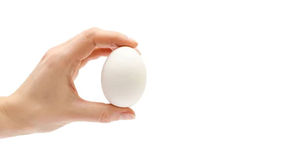 Mano de mujer sosteniendo huevo de gallina. Aislado sobre fondo blanco. copiar espacio, plantilla . — Foto de Stock