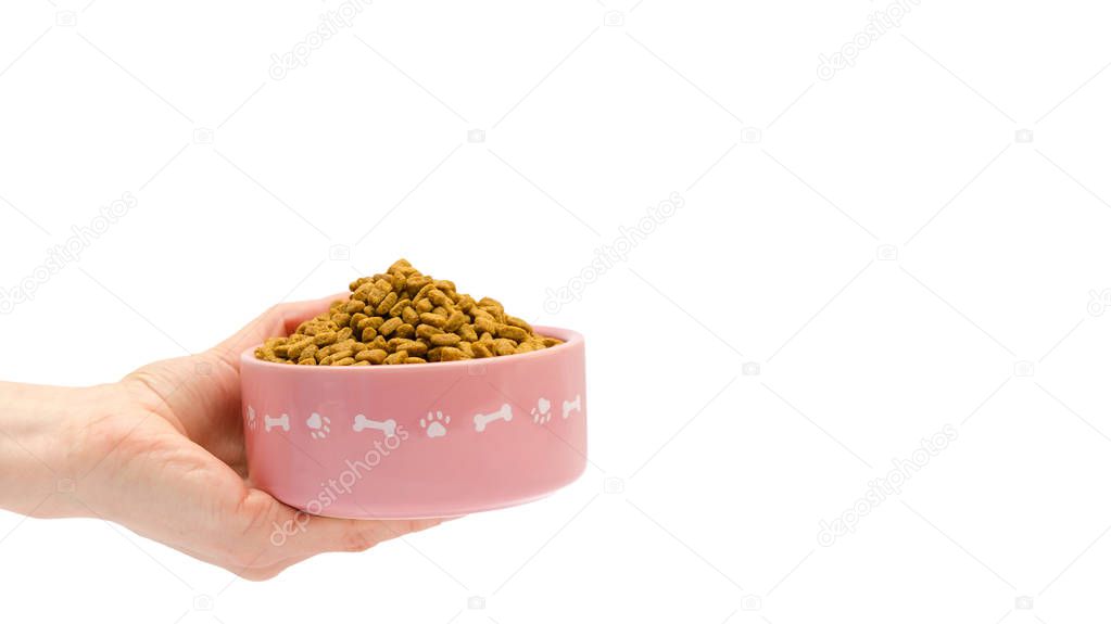 female hand takes or gives pets food. Isolated on white background. copy space, template.