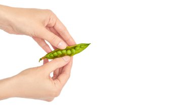 Güzel el taze bezelye jest tutar. Beyaz arka plan üzerinde izole. kopyalama alanı şablonu