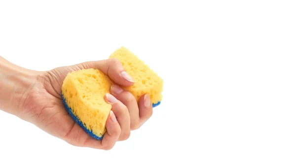 Female hand holds new and clean sponge for cleaning. Isolated on white background. copy space, template — Stock Photo, Image