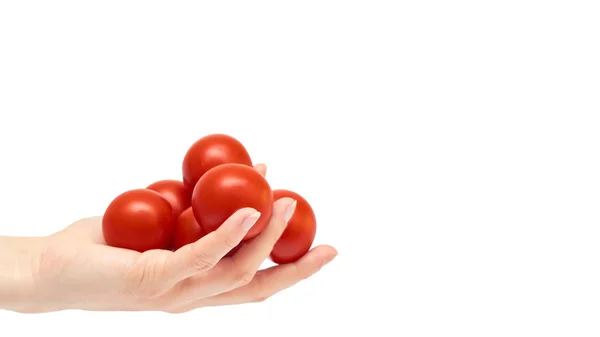 Hermosa mano femenina sostiene gesto de tomate rojo. Aislado sobre fondo blanco. copiar espacio, plantilla . — Foto de Stock