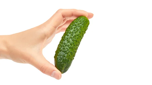 Hermosa mano femenina sostiene pepino. Aislado sobre fondo blanco. copiar espacio, plantilla —  Fotos de Stock