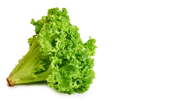 Lechuga fresca verde y cruda aislada sobre fondo blanco. copiar espacio, plantilla . —  Fotos de Stock