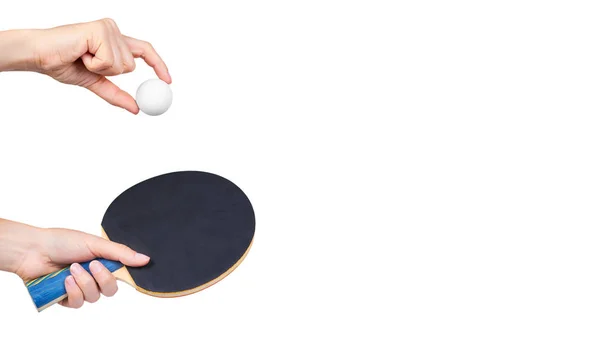 Ping-pong en mano aislado sobre fondo blanco. copiar espacio, plantilla — Foto de Stock