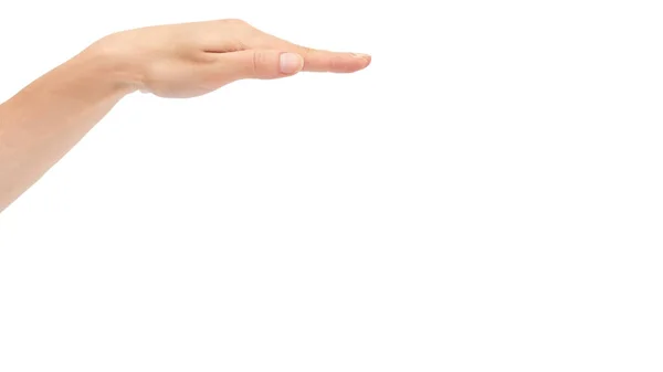 Geste de la main d'une femme, mesure. Isolé sur fond blanc. espace de copie, modèle — Photo