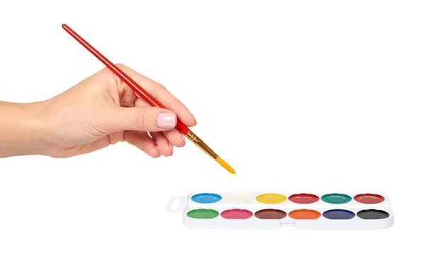 Palette with watercolors. Multicolor paints, draw supply. — Stock Photo, Image