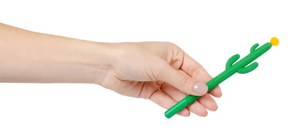 Cactus bentuk pena, alat sekolah yang menyenangkan untuk anak-anak . — Stok Foto