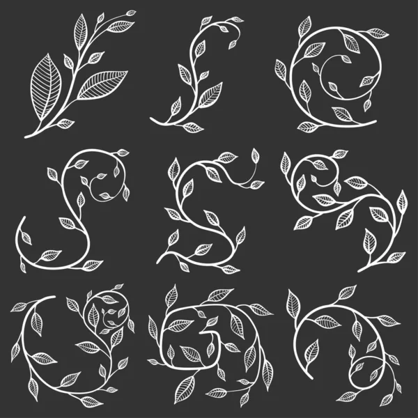 Flourishes, vector concept in doodle style. Hand drawn illustration for printing. — Stock Vector