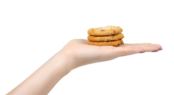 Rond koekje met chocoladedruppels. geïsoleerd op wit. — Stockfoto