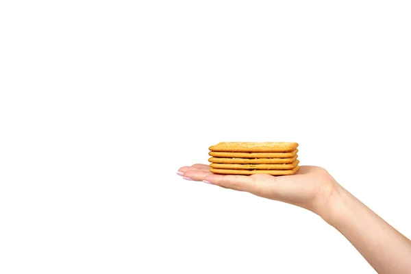 Mâna cu biscuiți sărați, aperitiv crocant, cookie de formă dreptunghiulară. Izolat — Fotografie, imagine de stoc