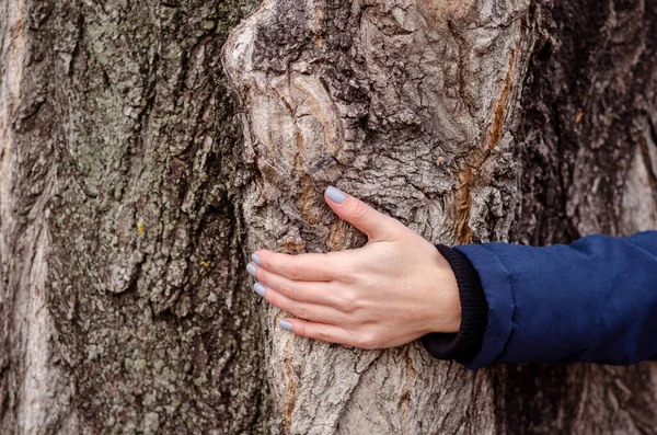 Dziewczyna przytula drzewo dłonią. Jedność z naturą, miłością i troską. — Zdjęcie stockowe