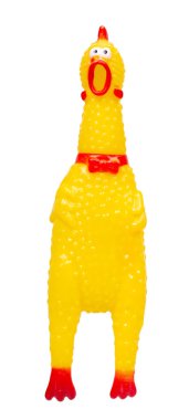 Sarı lastik tavuk oyuncağı, eğlenceli oyun. Beyazda izole edilmiş.