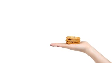 Hand with round cookie with chocolate drops. Isolated on white background. Copy space, template.