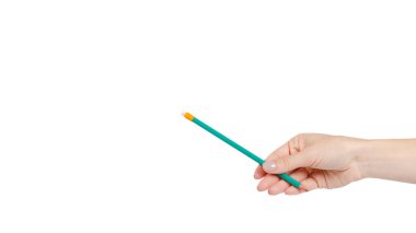 Hand with green pencil with eraser, school equipment. Isolated on white background. Copy space, template.