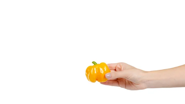 Mão Com Páprica Amarela Crua Alimentos Frescos Saudáveis Isolado Fundo — Fotografia de Stock