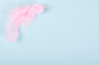 Mavi sırt çantasındaki tüyler. Düz bir fotoğraf..