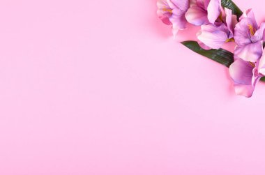 Pembe arka plan kompozisyonu üzerine dekoratif çiçekler. Düz bir fotoğraf..