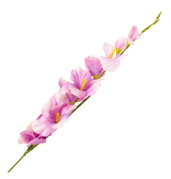 Dekorativer Blumenstrauß Rosa Blüten Isoliert Auf Weißem Hintergrund — Stockfoto