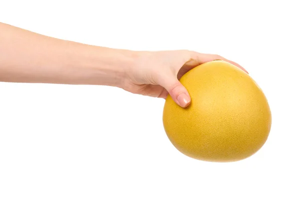 Mão Com Fruta Pomelo Fresca Suculenta Isolado Sobre Fundo Branco — Fotografia de Stock