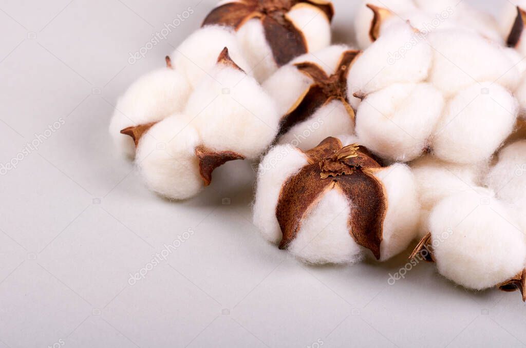 Cotton ball on grey background composition. Flat lay.