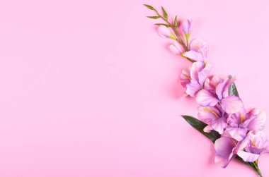 Pembe arka plan kompozisyonu üzerine dekoratif çiçekler. Düz bir fotoğraf..