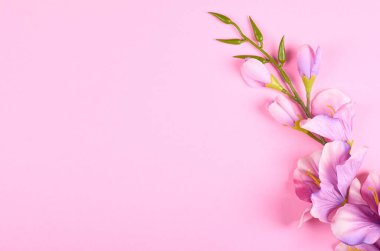 Pembe arka plan kompozisyonu üzerine dekoratif çiçekler. Düz bir fotoğraf..