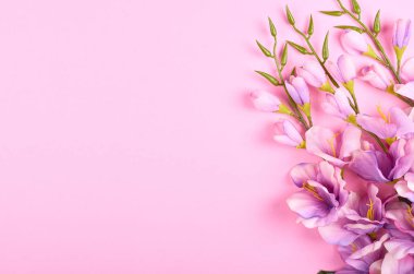 Pembe arka plan kompozisyonu üzerine dekoratif çiçekler. Düz bir fotoğraf..