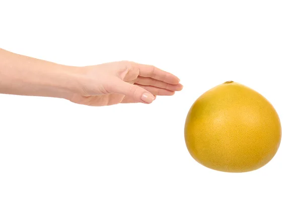 Hand Mit Frischen Und Saftigen Pomelo Früchten Isoliert Auf Weißem — Stockfoto