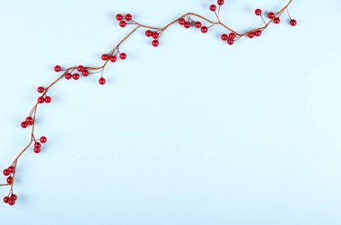 Kırmızı böğürtlen mavi arka plan kompozisyonu, düz serili fotoğraf.