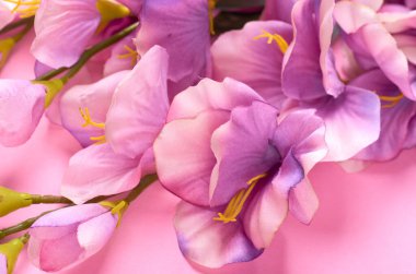 Pembe arka plan kompozisyonu üzerine dekoratif çiçekler. Düz bir fotoğraf..