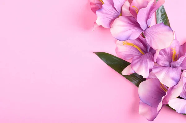 Flowers Composition. Dry Lavender Flowers On Pink Background. Flat Lay, Top  View Free Image and Photograph 197933074.
