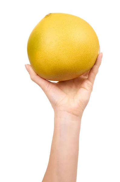 Mão Com Fruta Pomelo Fresca Suculenta Isolado Sobre Fundo Branco — Fotografia de Stock