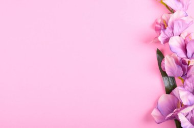 Pembe arka plan kompozisyonu üzerine dekoratif çiçekler. Düz bir fotoğraf..