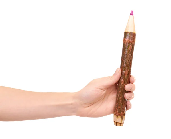 大きな木製の鉛筆で手 供給を学ぶ 白地に隔離された — ストック写真