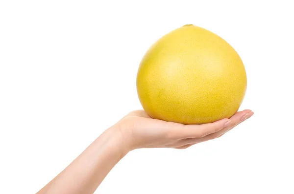 Mão Com Fruta Pomelo Fresca Suculenta Isolado Sobre Fundo Branco — Fotografia de Stock