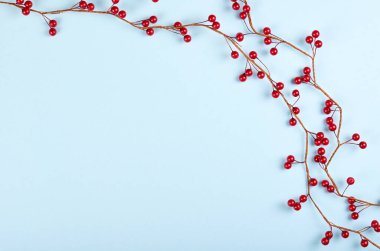 Kırmızı böğürtlen mavi arka plan kompozisyonu, düz serili fotoğraf.