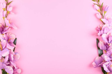 Pembe arka plan kompozisyonu üzerine dekoratif çiçekler. Düz bir fotoğraf..