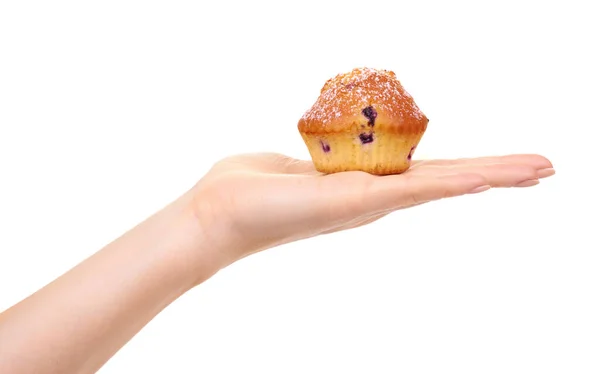 Hand Mit Hausgemachtem Blaubeer Cupcake Isoliert Auf Weißem Hintergrund — Stockfoto